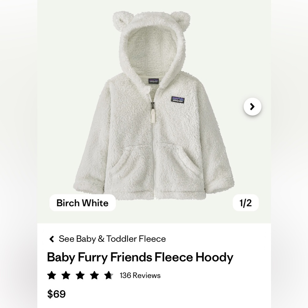 Patagonia Teddy Bear Fleece Hoodie